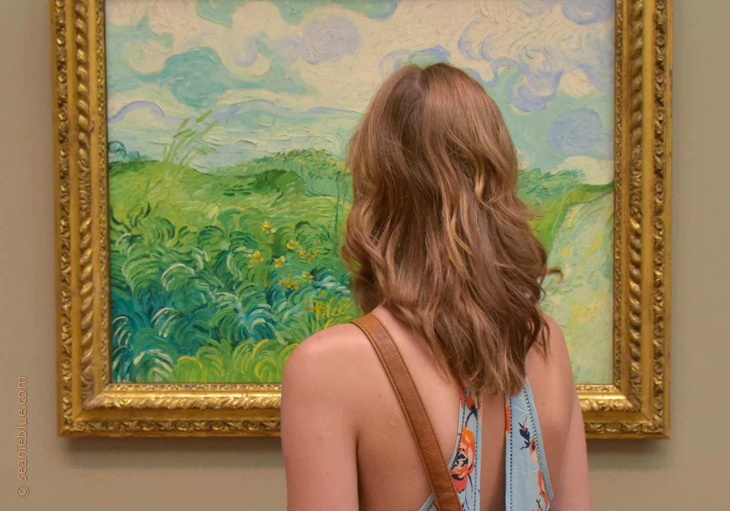 Van Gogh's strokes