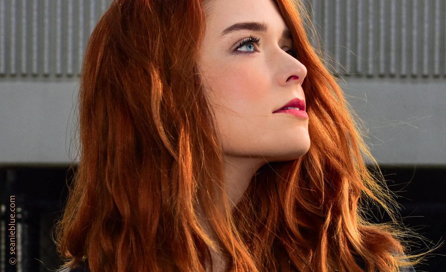 MazRam colzd face CU edit 7 1500 70-6832.jpg