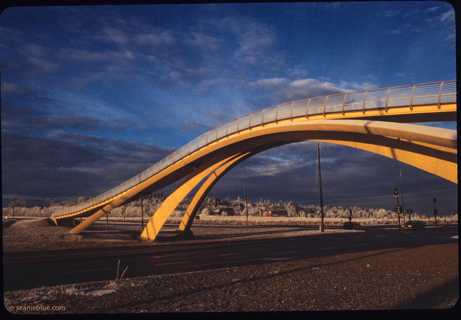 The da Vinci Bridge