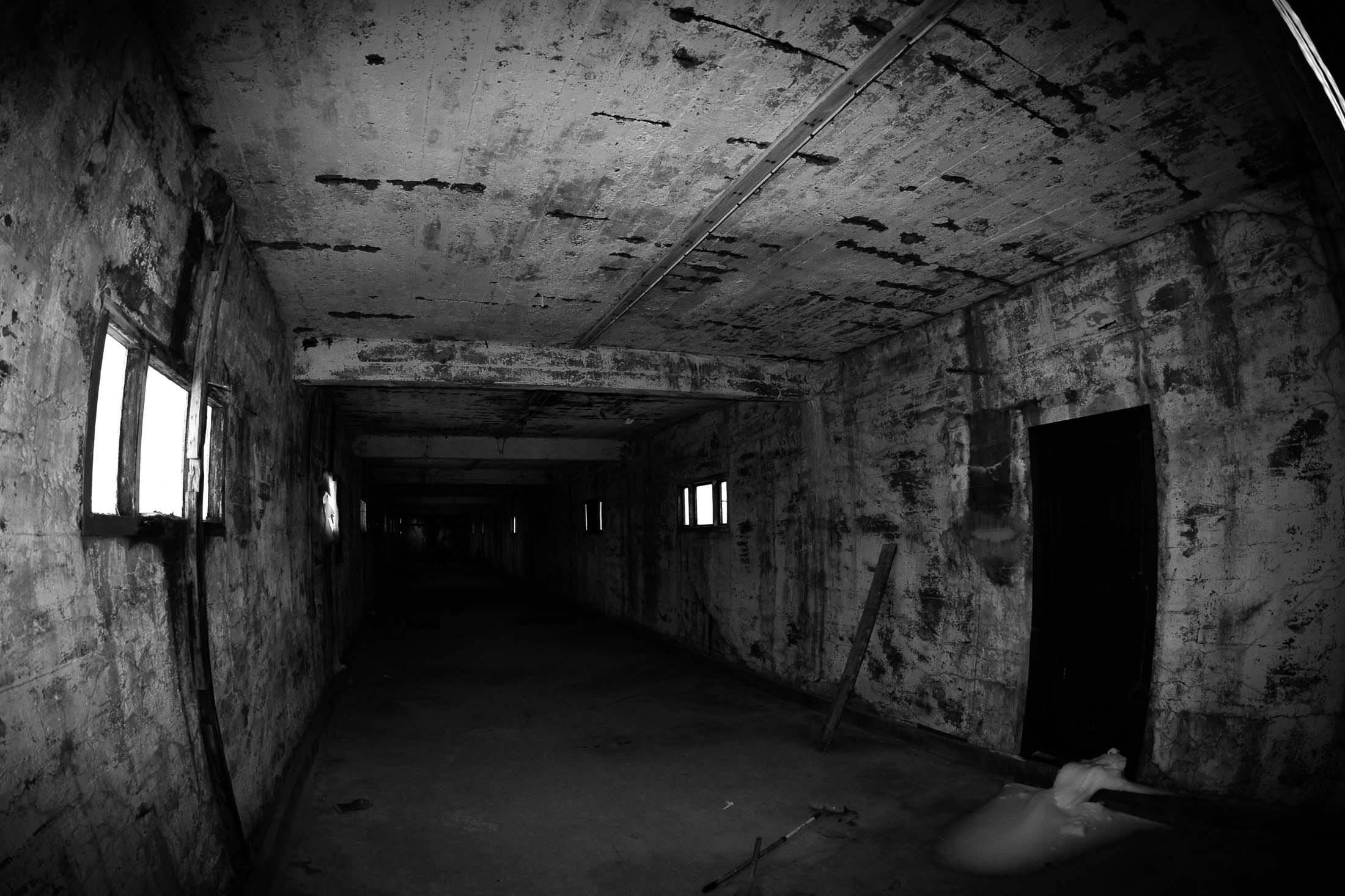song DARKNESS 2500-40-100-4017.jpg