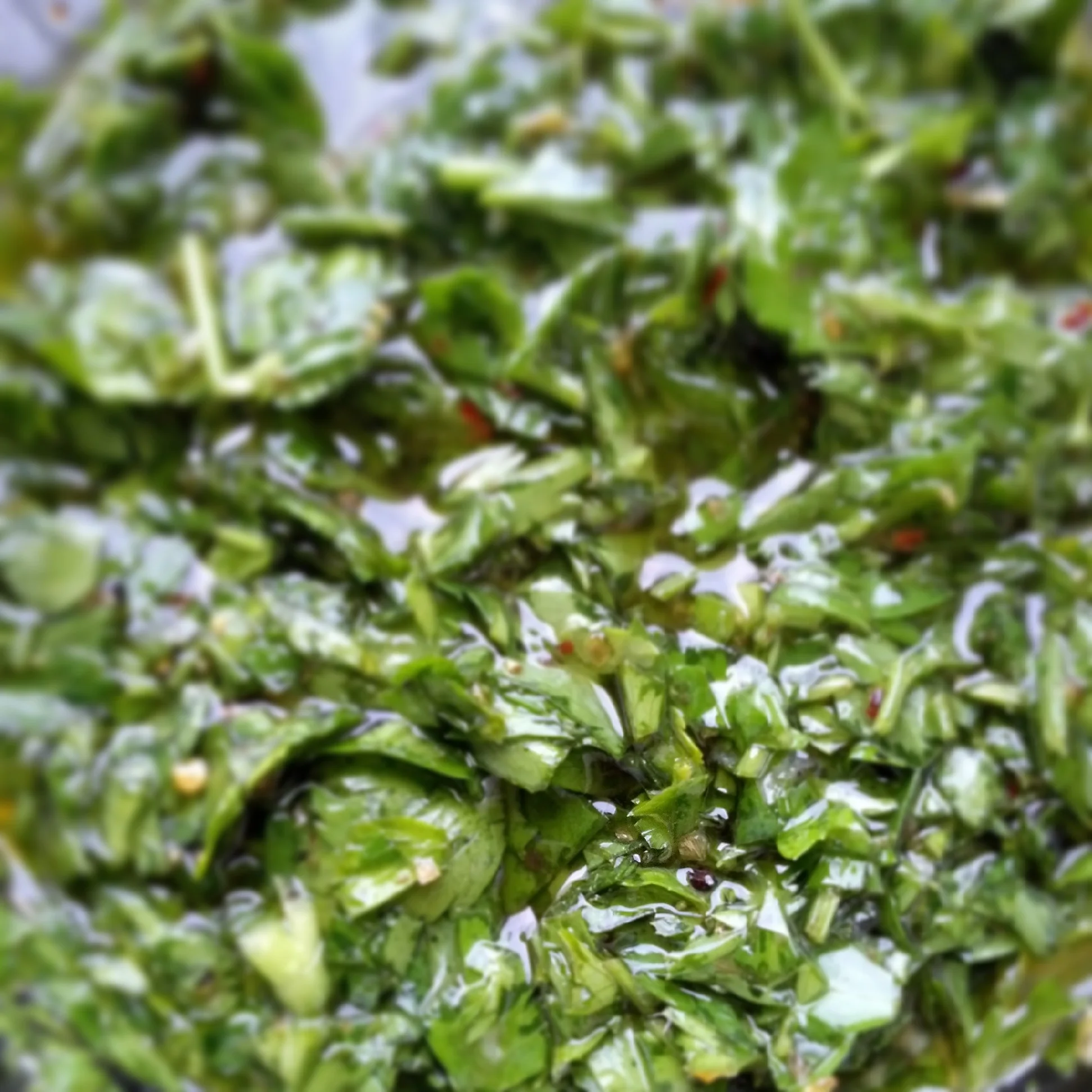 Homemade Chimichurri