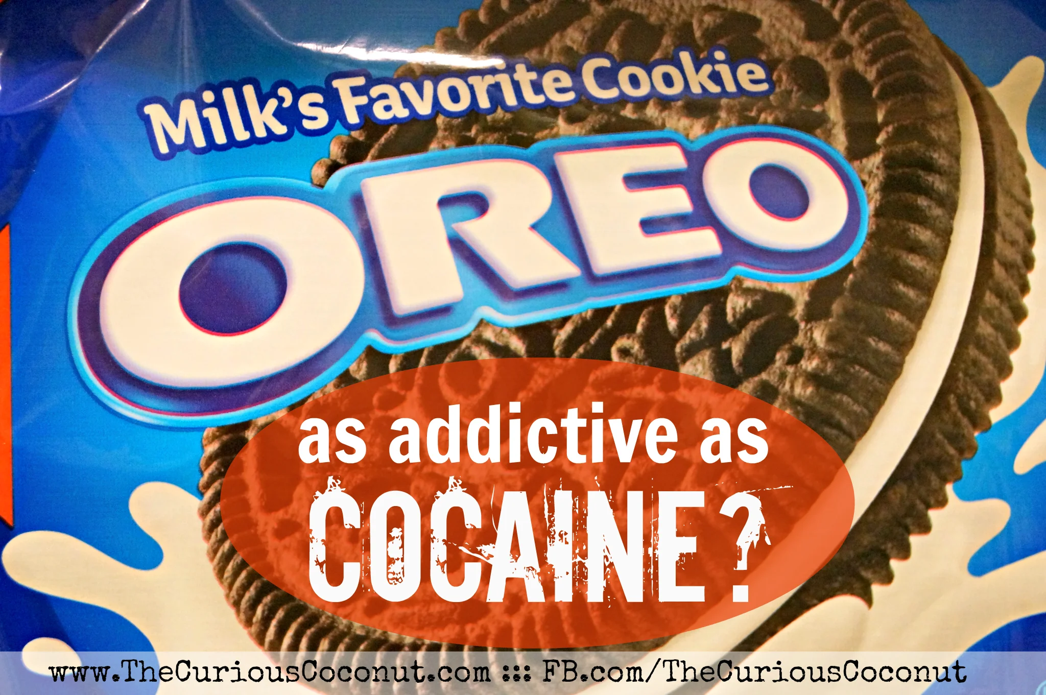 oreos and cocaine 2048.jpg