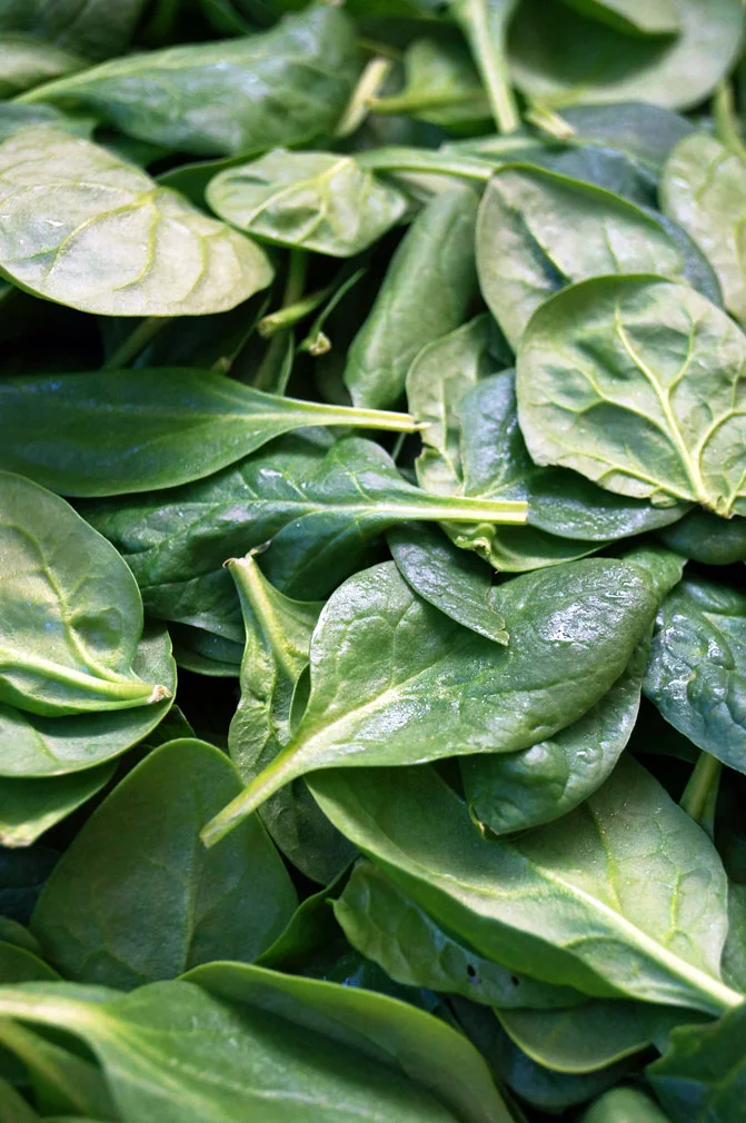 spinach.jpg