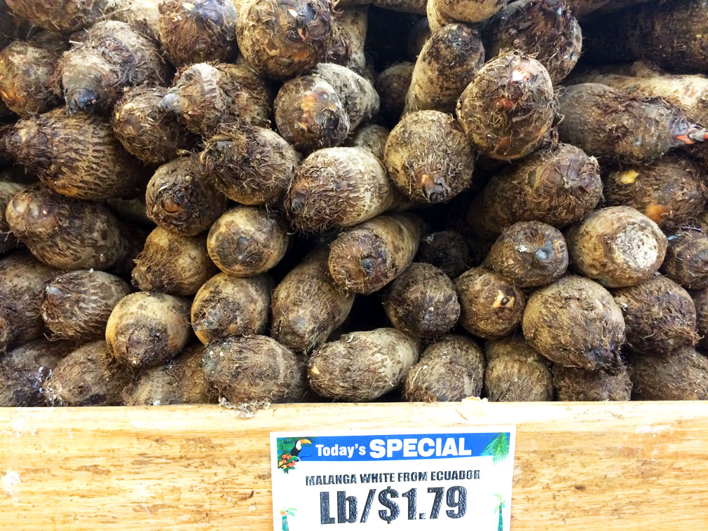 White malanga: the potato of the autoimmune protocol. 