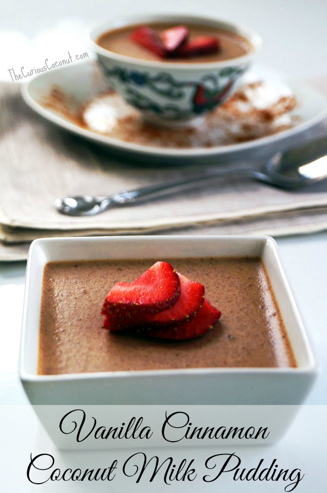Vanilla Cinnamon Coconut Milk Pudding (autoimmune paleo, dairy-free) TheCuriousCoconut.com