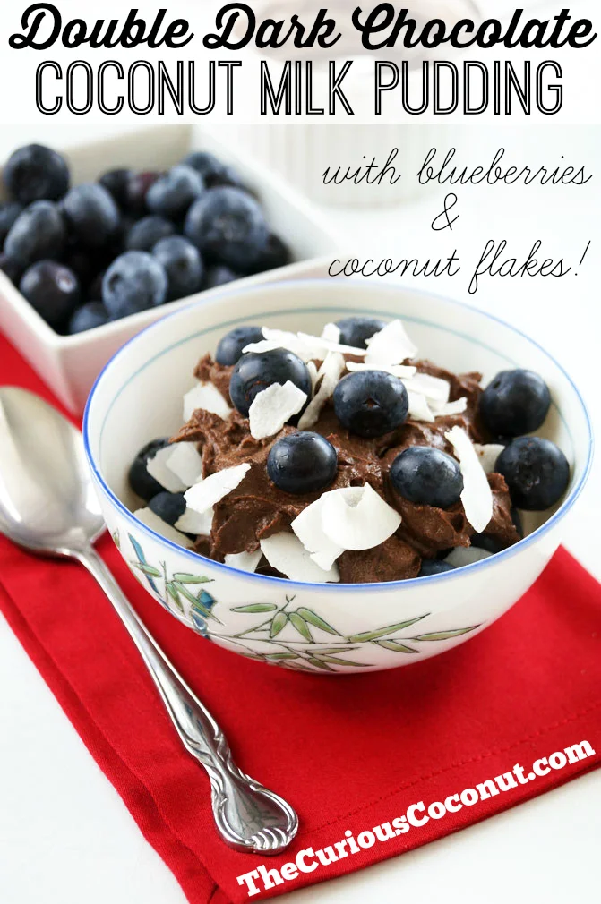 Double Dark Chocolate Coconut Milk Pudding // TheCuriousCoconut.com