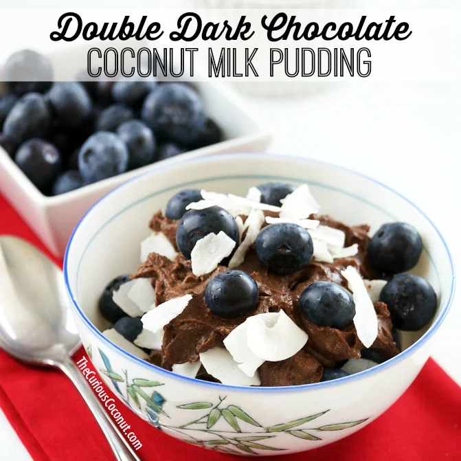 How to Reintroduce Foods on the Autoimmune Protocol + Chocolate Pudding Reintroduction Recipe