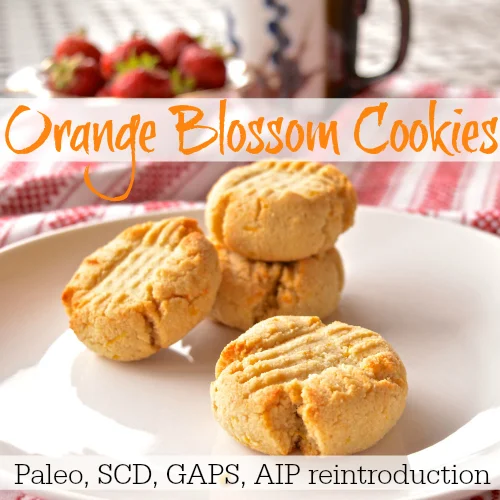 Paleo Orange Blossom Cookies