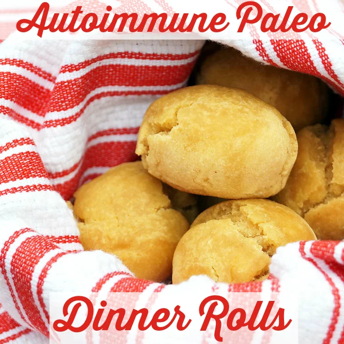 Autoimmune Paleo Dinner Rolls