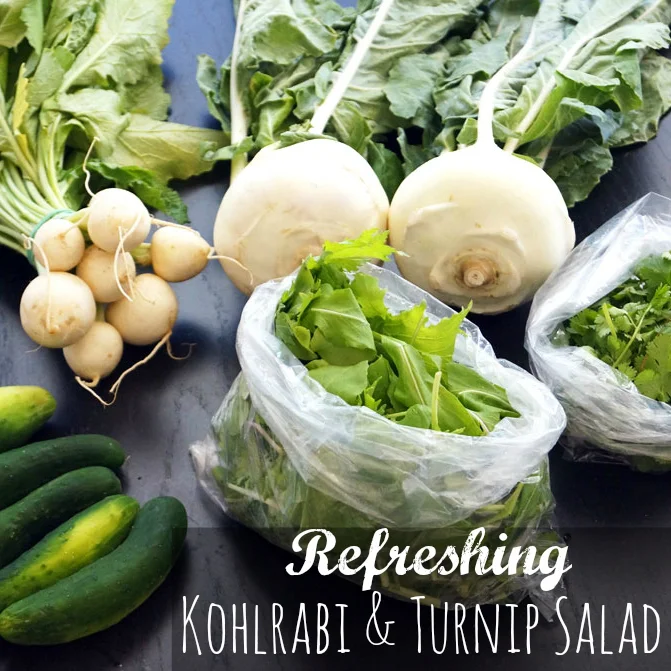 Refreshing Kohlrabi and Japanese Turnip Salad (autoimmune paleo)