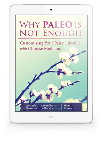 why paleo is not enough ebook.jpg