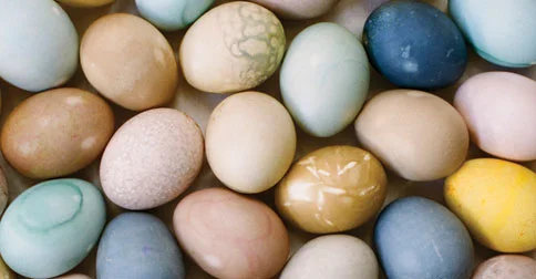Coloring Easter Eggs Without Dyes + Homegrown Paleo