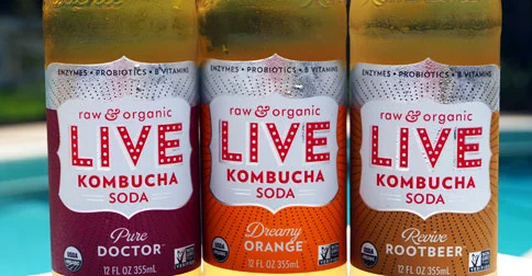 15 Things You Didn't Know About Kombucha + LIVE Soda Kombucha Review