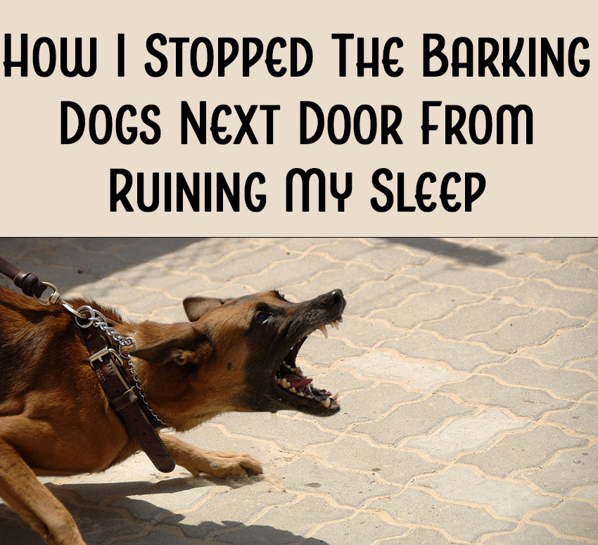 what to do if neighbors dog won t stop barking