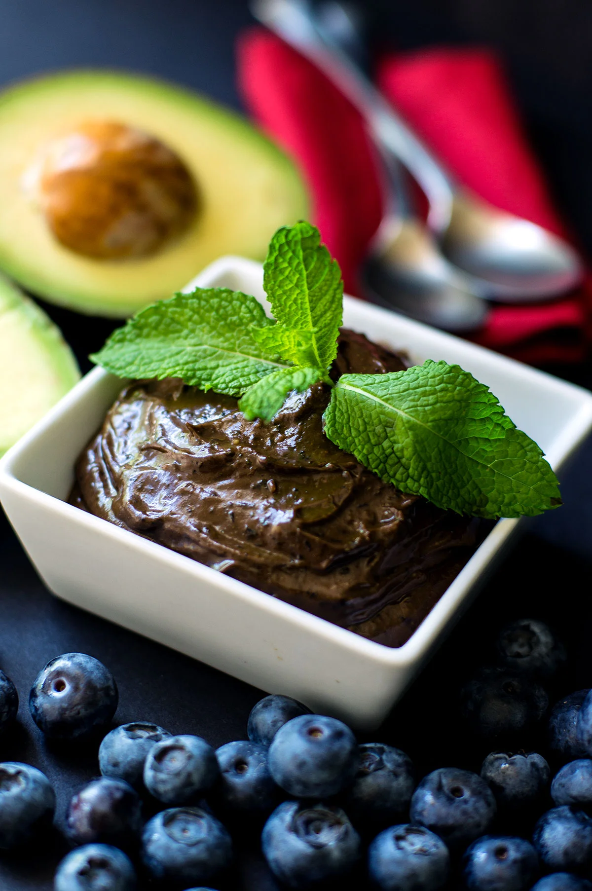 Probiotic Mint Chocolate Blueberry Avocado Protein Pudding (Paleo, AIP