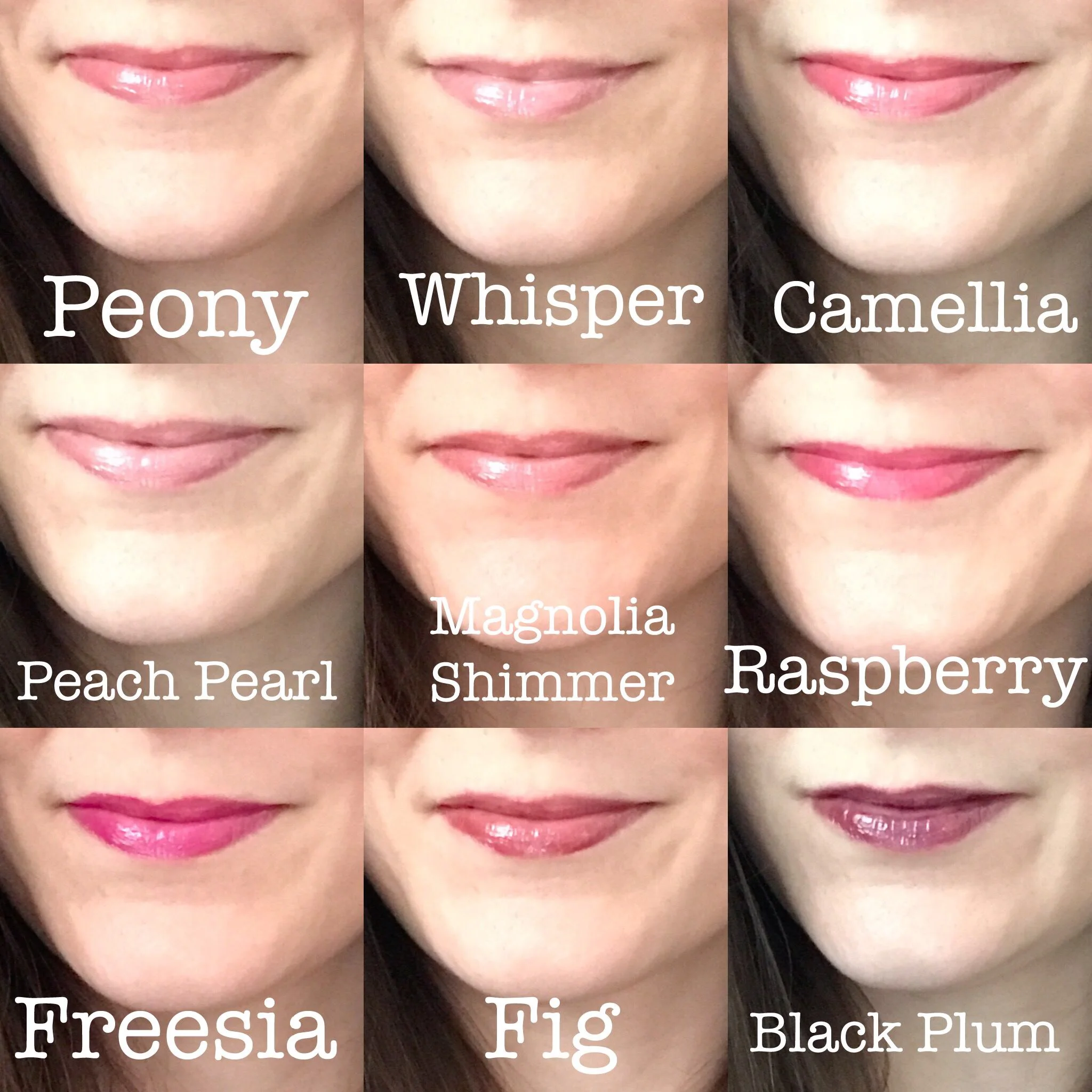 Me wearing all 10 of the holiday gloss colors. I love Peach Pearl, Freesia, and Black Plum!