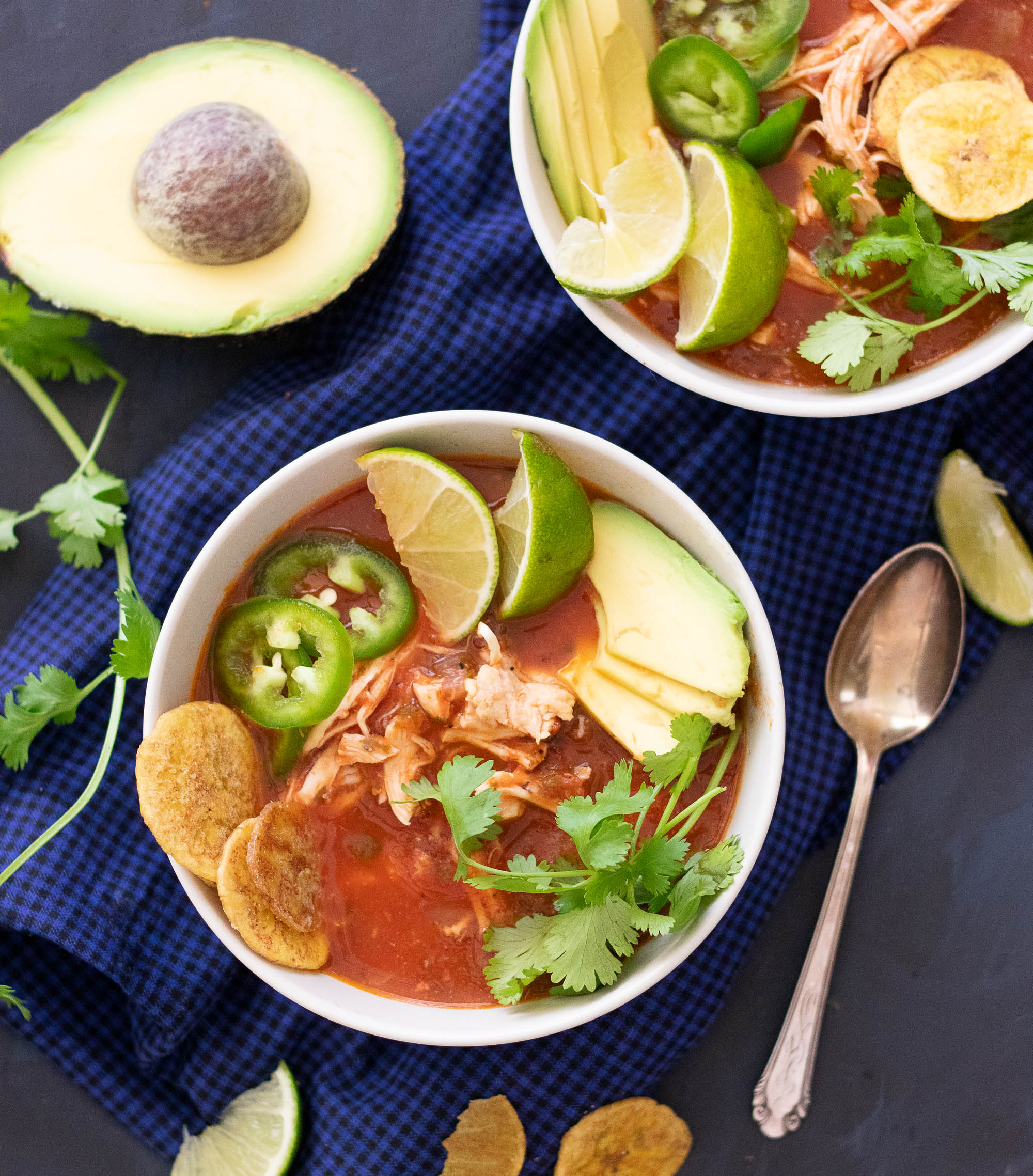 Fire Roasted Salsa Soup with Chicken-1.jpg