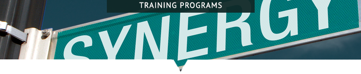 SS_TrainingBB.png