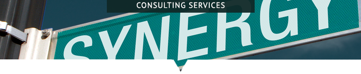 SS_ConsultingBB_2.png