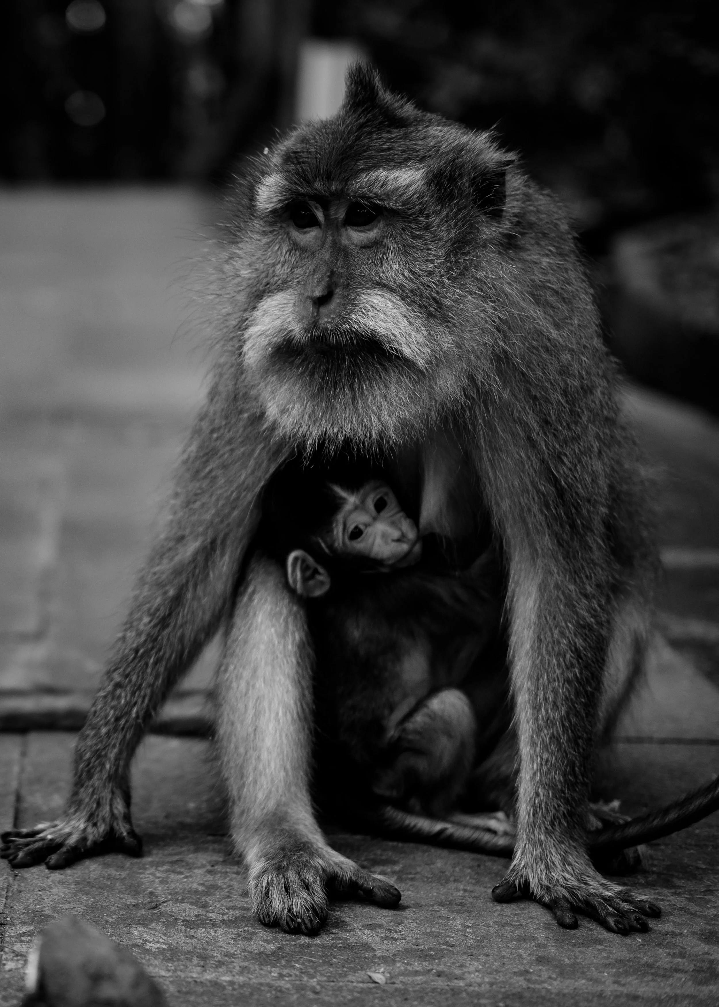 Bali_2016_ (26 of 65).jpg