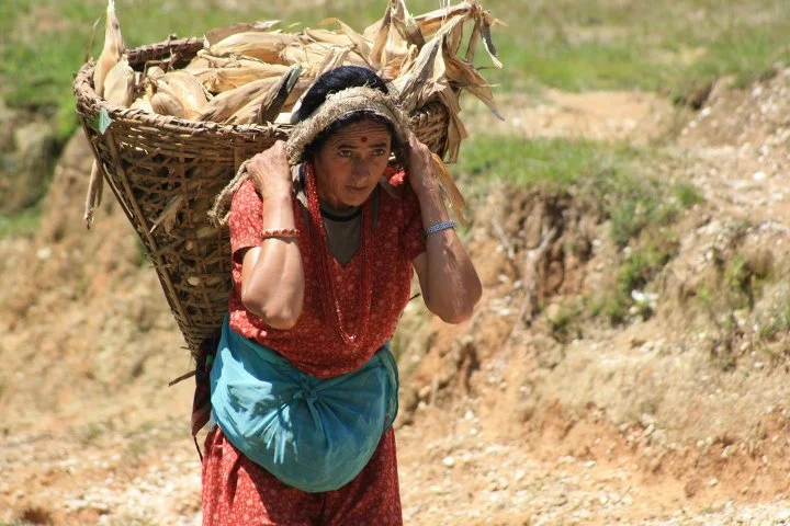 318184_264259973592191_2420290_n.jpg