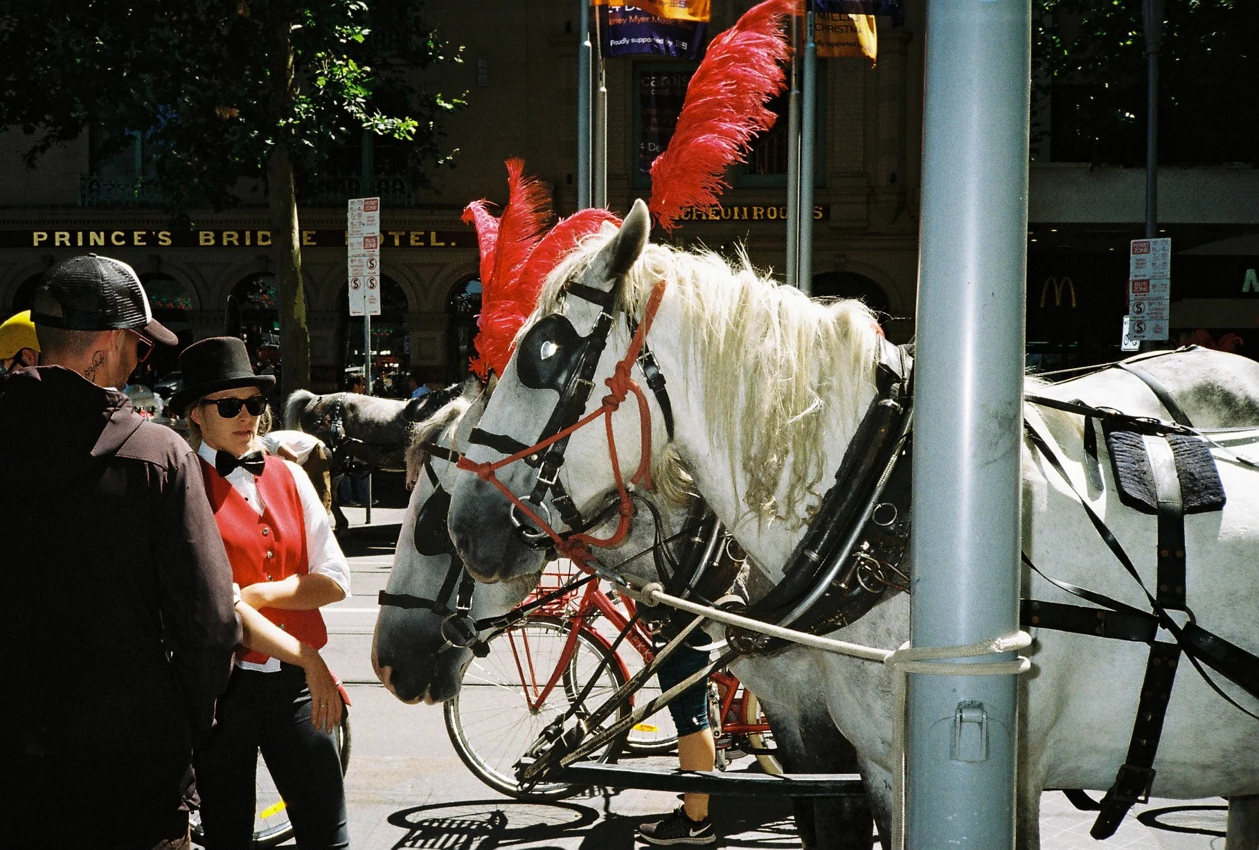 2797-023.JPG