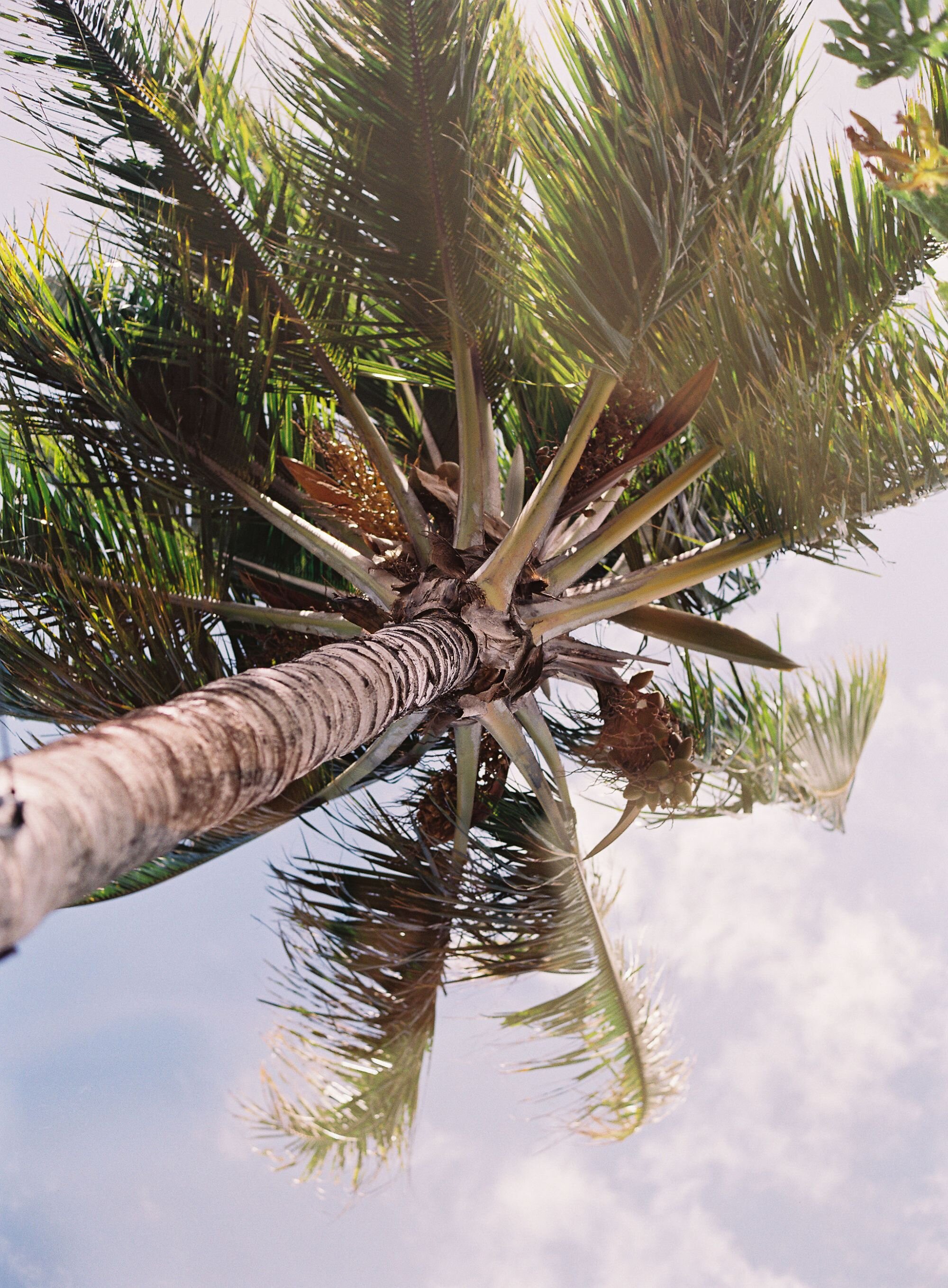 dmitriandsandraphotography-fourseasonslanai-amandaandandrew0109-1.jpg