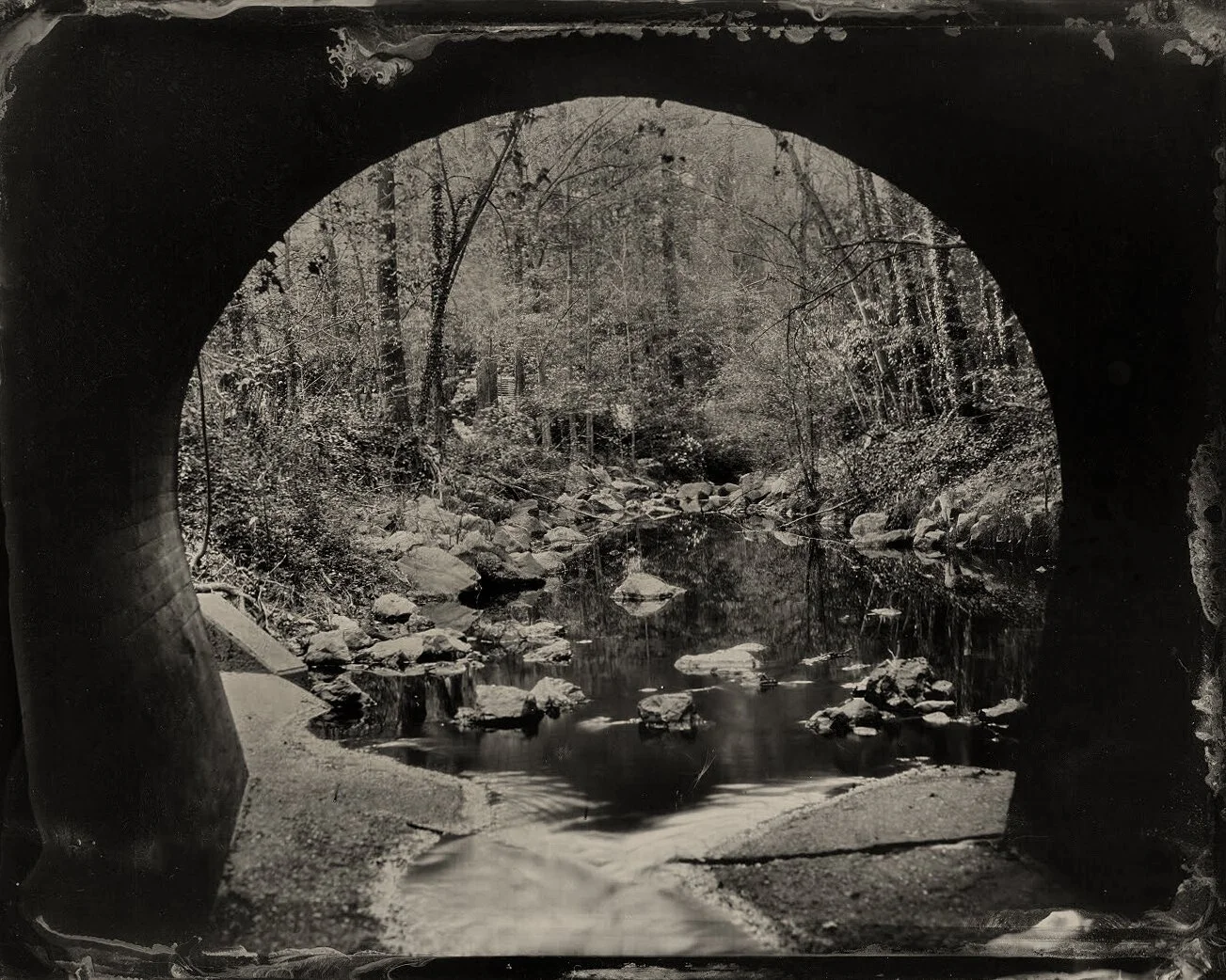 Within City Limits