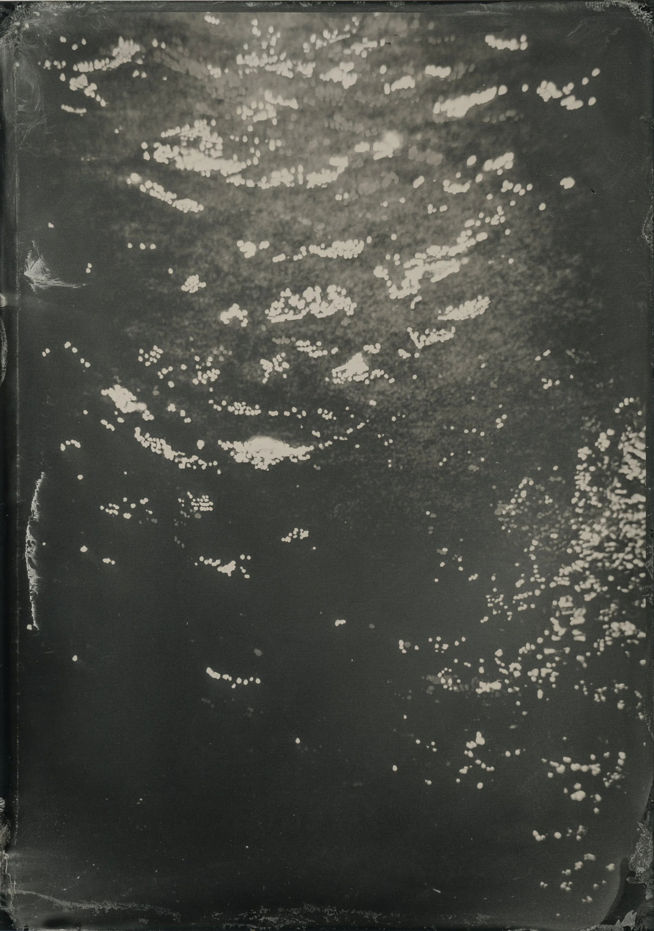 Belle_Isle 4.JPG