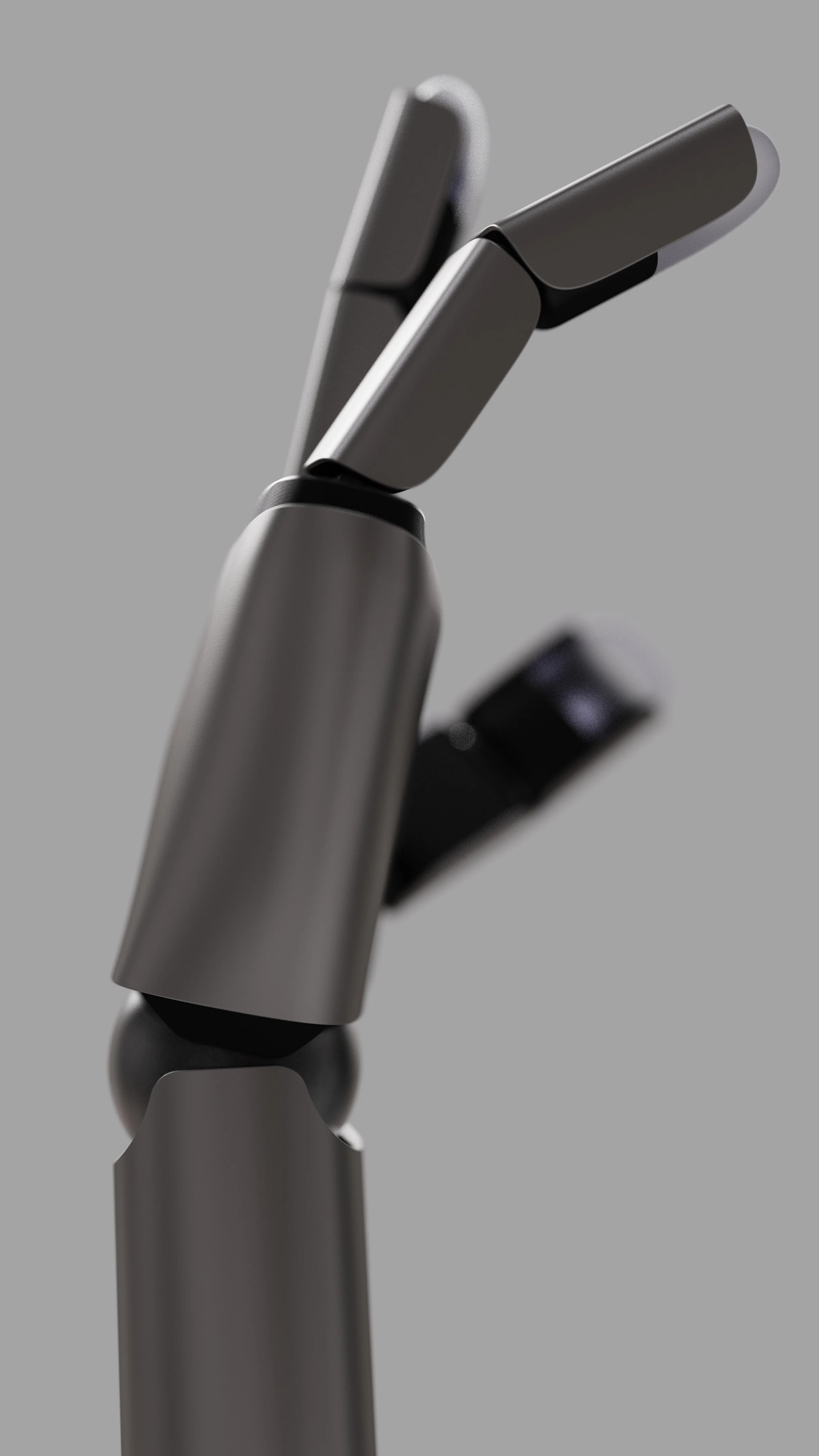 wedge.2061.jpg