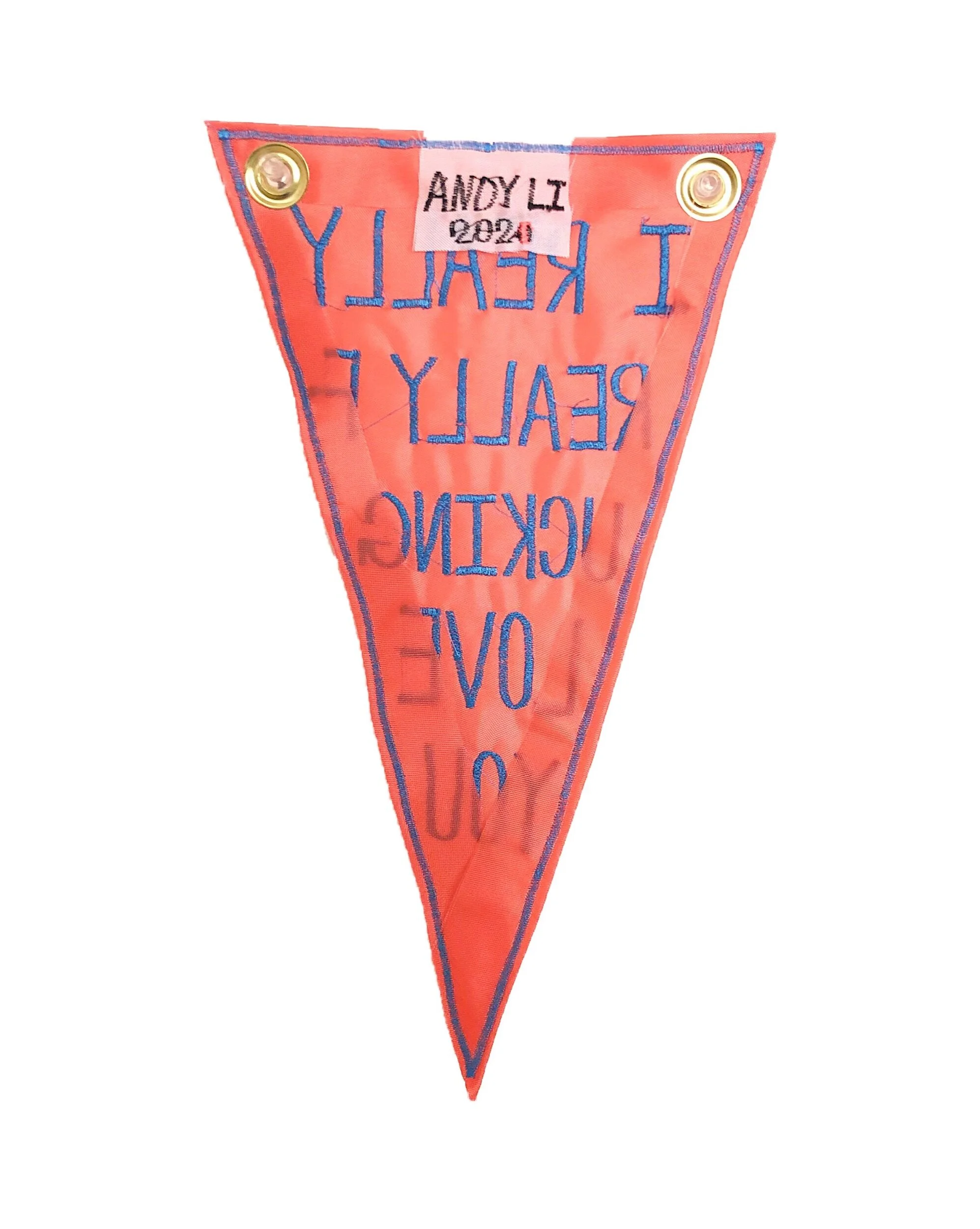 6965A0A9-C709-4EFA-8A6A-B89B3C73406A