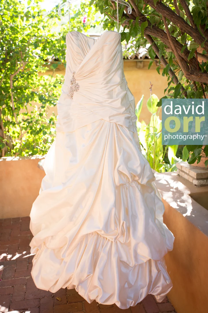 AliciaDaniel_Wedding_Preview_IMG_3920.jpg
