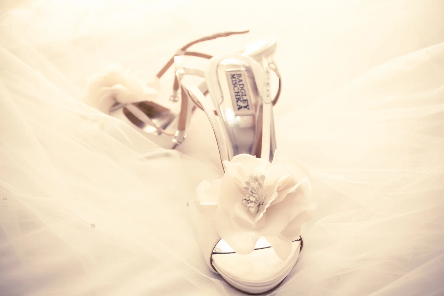 AmyRyan_Wedding_Regale_020.jpg