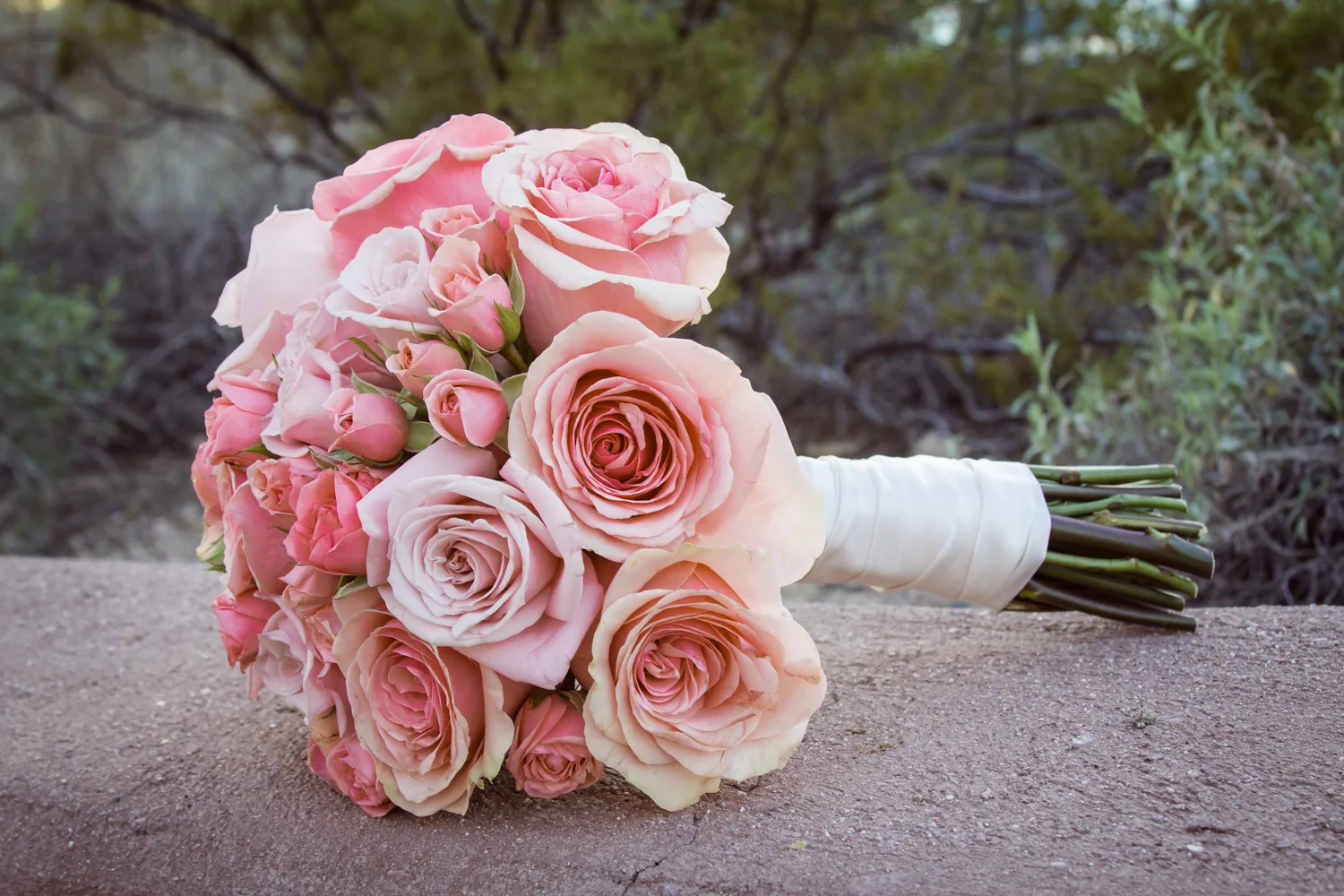AmyRyan_Wedding_Regale_539.jpg