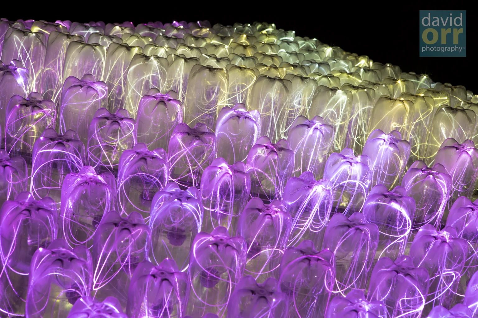 Bruce Munro's Beacon