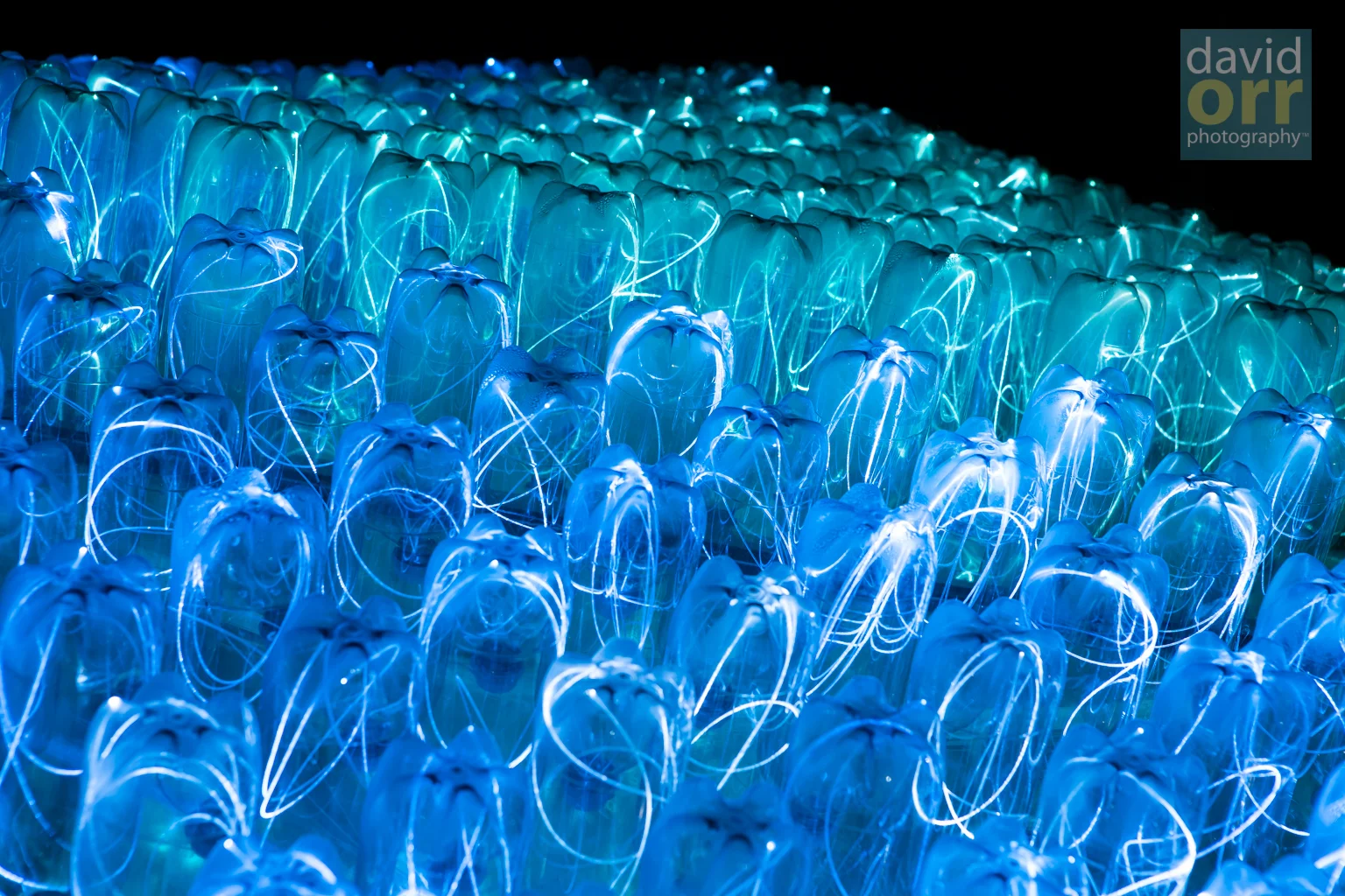 Bruce Munro's Beacon