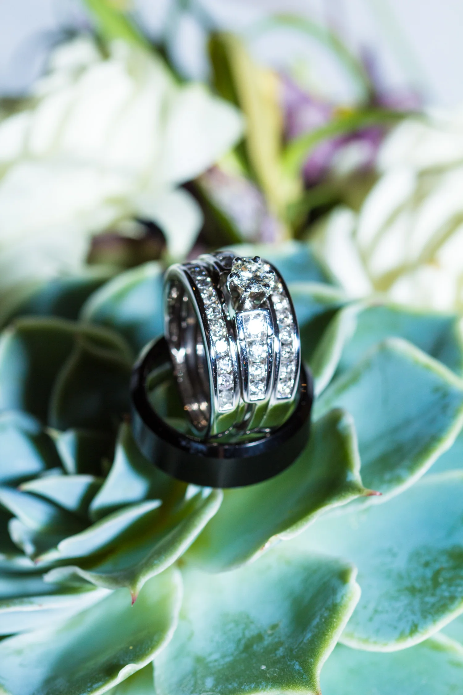 StephanieAnthonyWedding_348.jpg