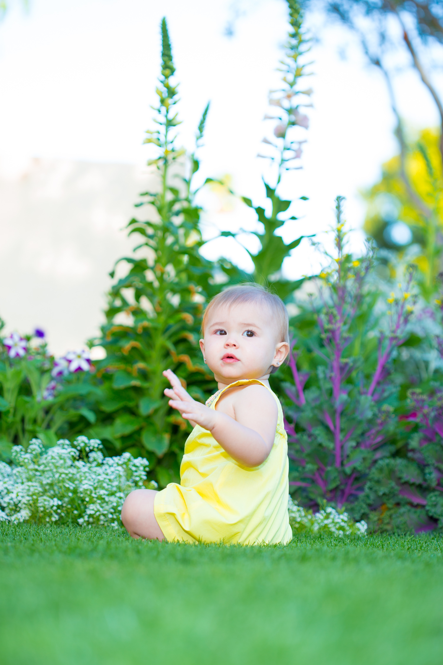 KileyGene_Family_4862_93.jpg