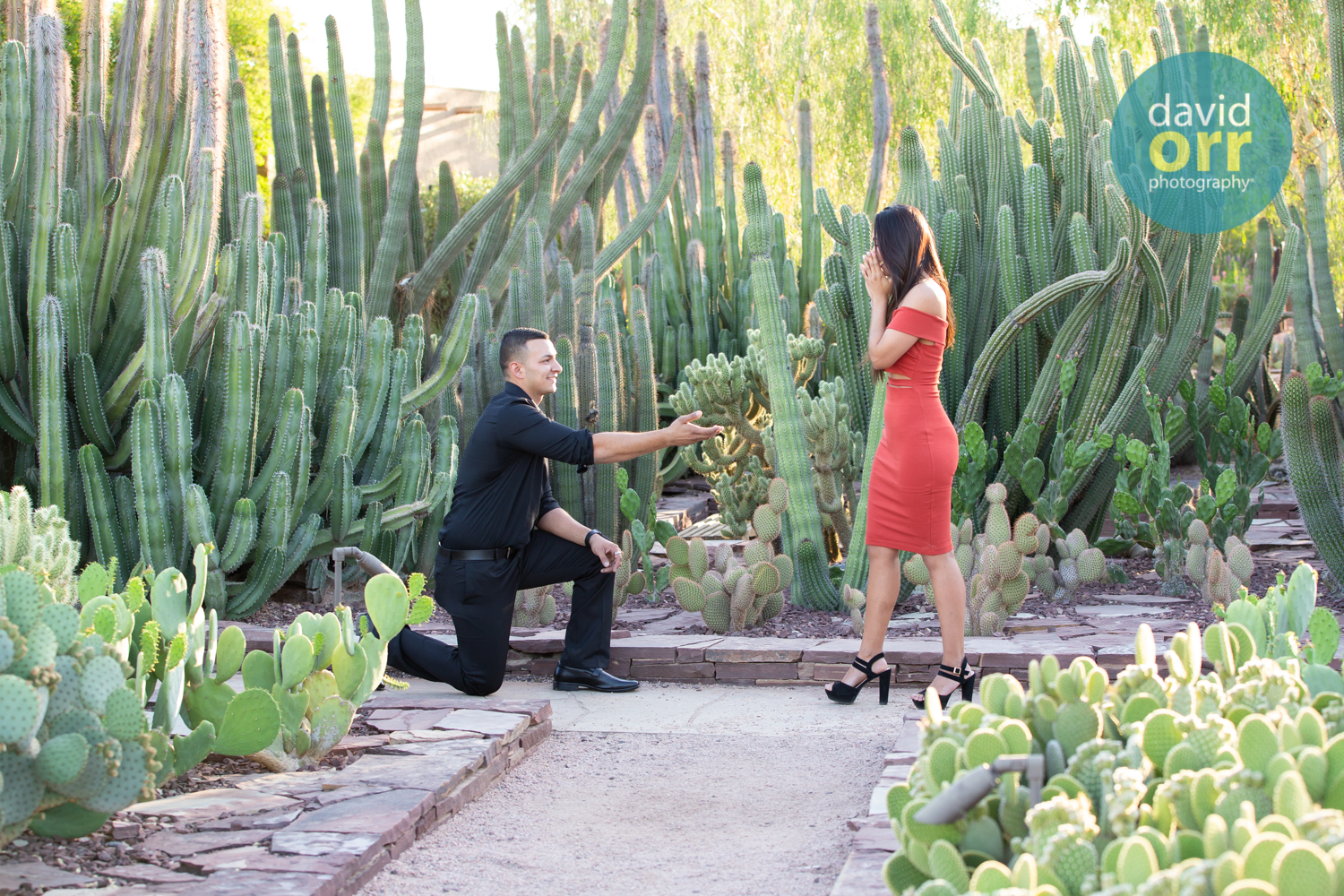 Allen And Cindy S Proposal Session At Desert Botanical Garden