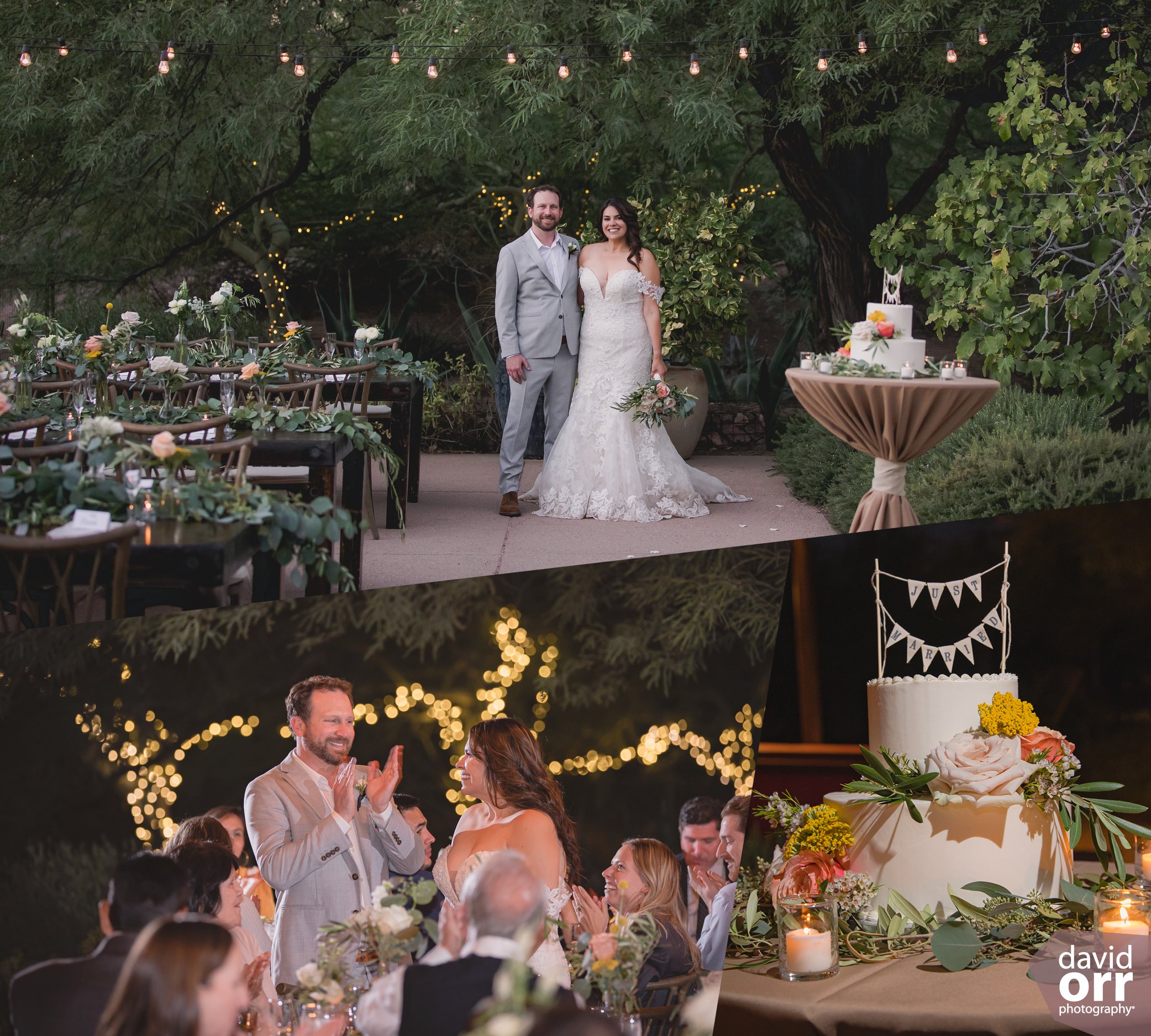 Outdoor reception bliss at Desert Botanical Garden