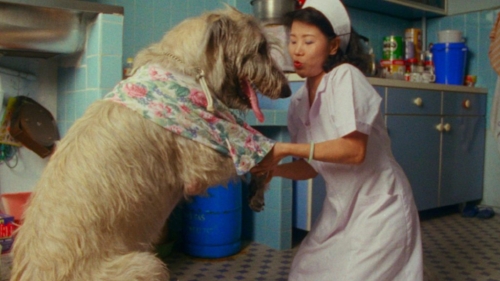 Shirkers-film-dog-nurse