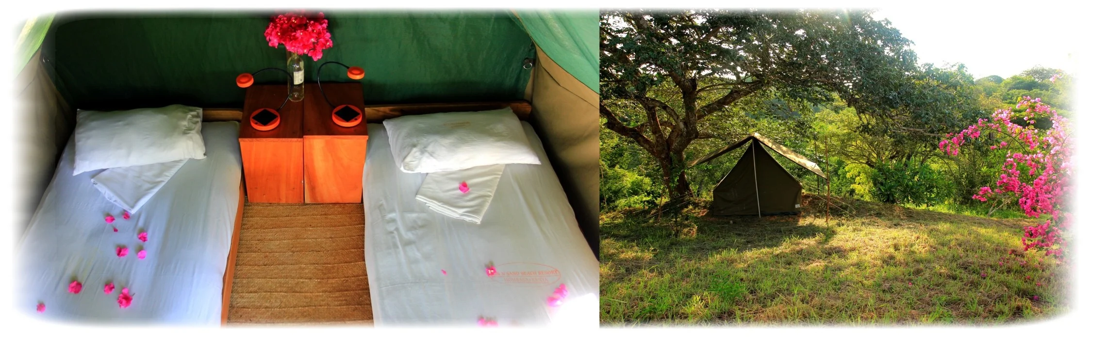 Safari Tents.jpg