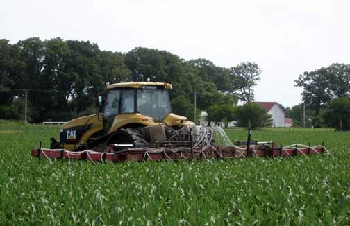 N being sidedressed. (John Lundvall) via Iowa State IPM .