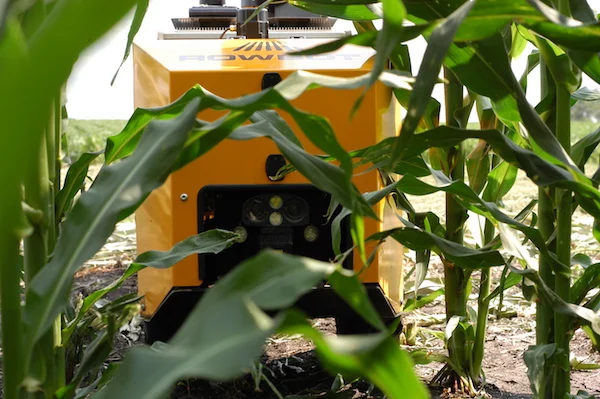 Rowbot featured in the Star Tribune