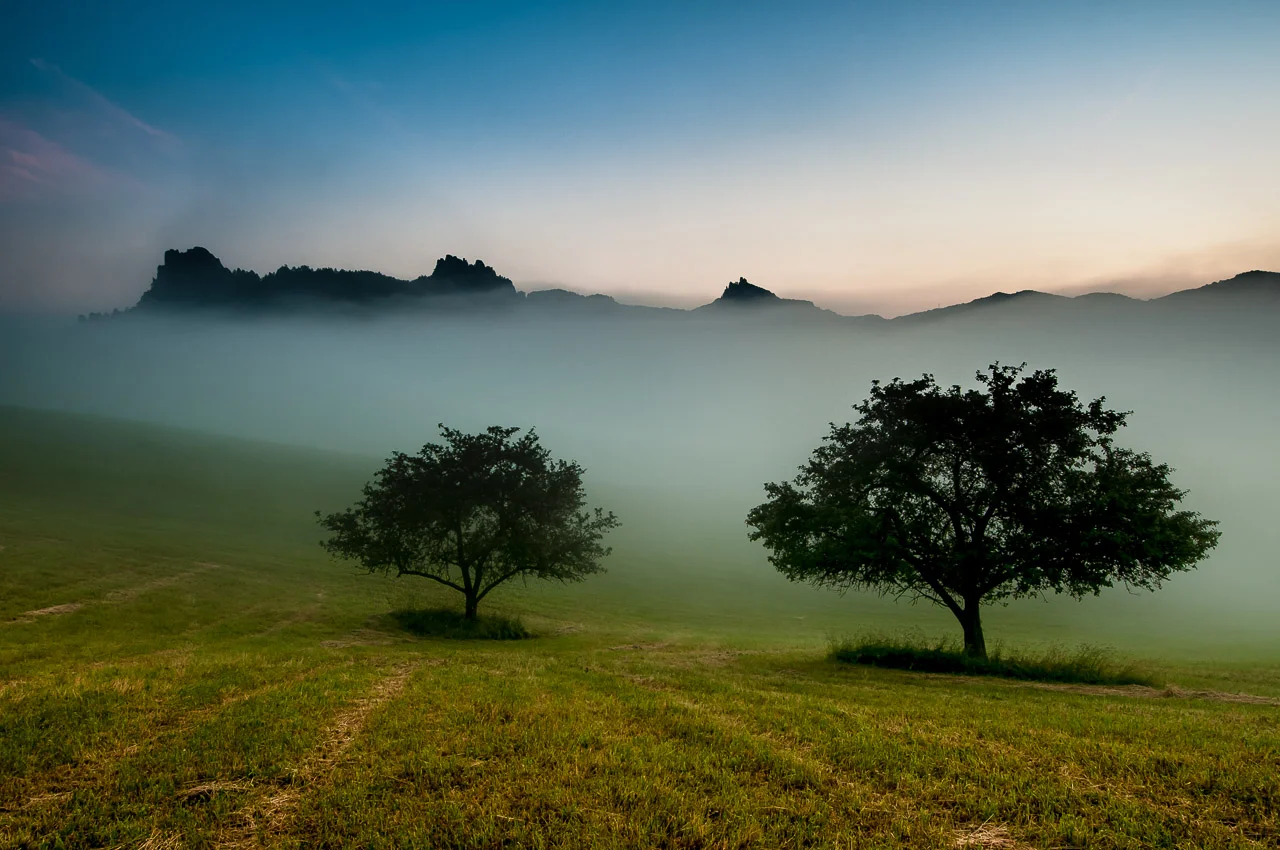 _PJJ6229-Edit-2.jpg