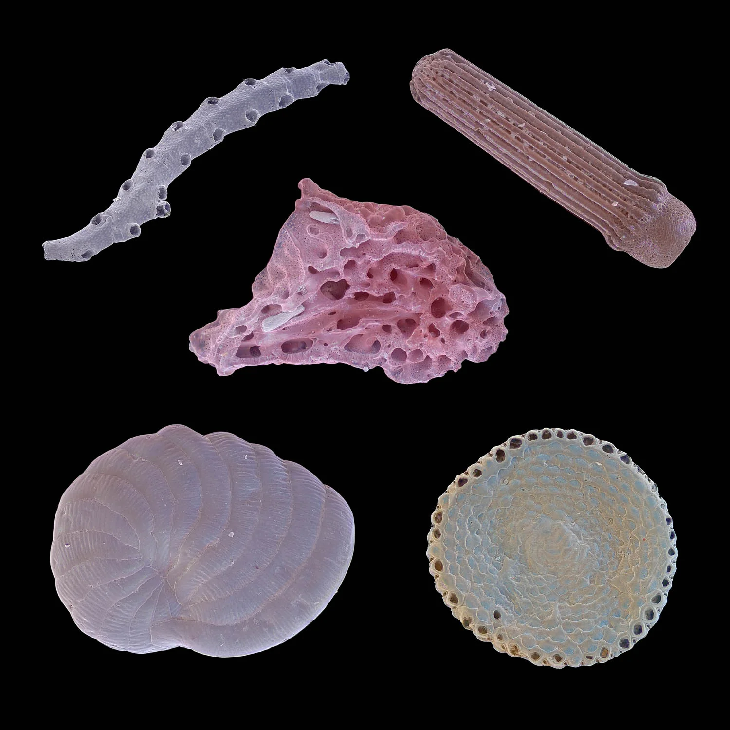 Five sand grains from Crete - each shoot by light microscope as well as SEM and merged together...