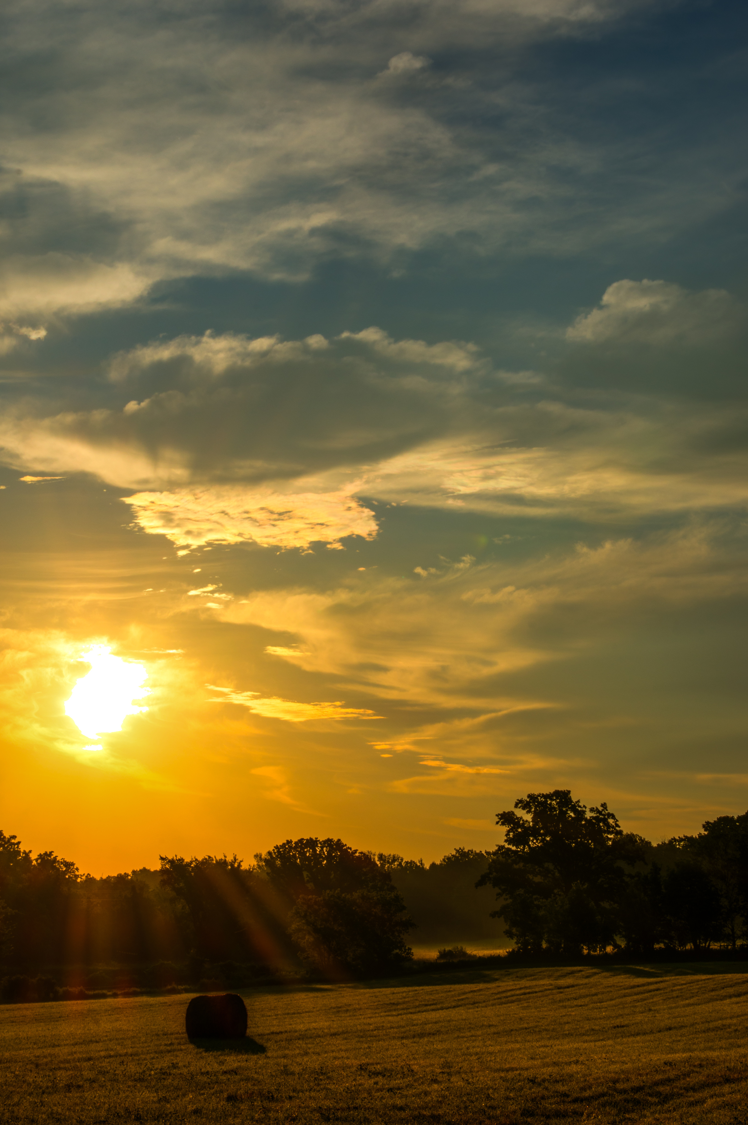 vreug_120708_DSC_4044_5_6.jpg