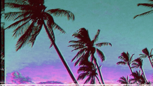 new_palm.gif