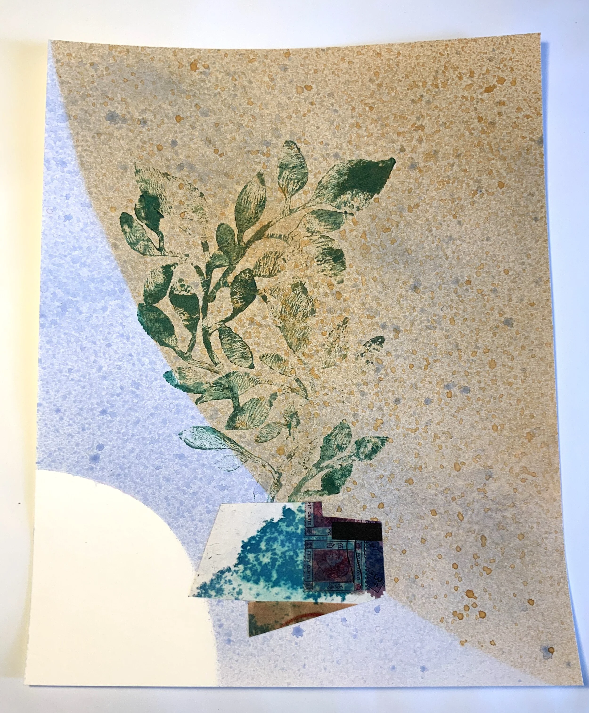 2DD509A9-8585-46DD-AF6D-EF0F04E1E1BC