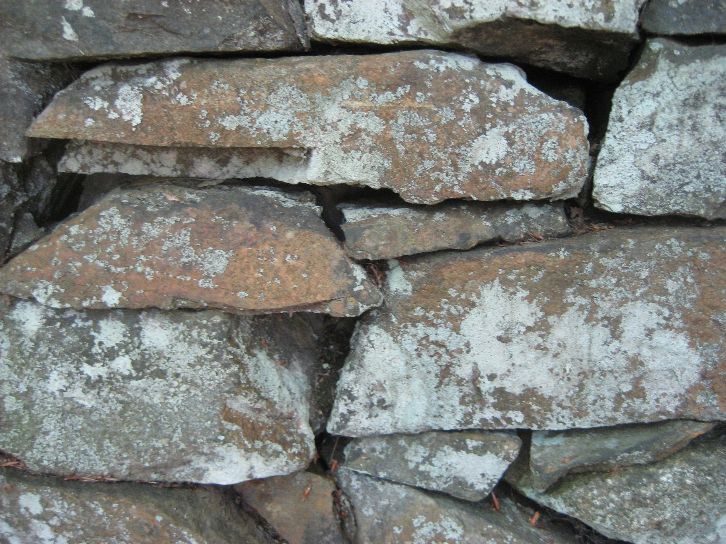 finntigh mara bare land condominium — Solterre Design